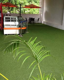 ARTIFICIAL GRASS PROJECT CASE